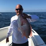 Jeremiah Hebert - @bullfrogish - Instagram