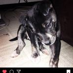Jeremiah Hooper - Facebook