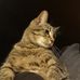 Jeremiah Lambert - Facebook
