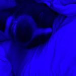 Jeremiah Lambert - @jeremiahlambert20 - Instagram