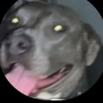 Jeremiah Link - @eslvjerrywoke - Instagram