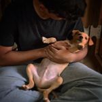 Jeremiah Lobo - @jeremiah.lobo - Instagram