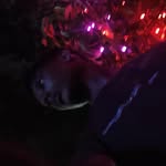 Jeremiah Mathew Joby - @pvt_jeremiah_119 - Instagram