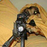 Jeremiah Mathews - @2k___14__hoopper - Instagram