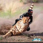 Jeremiah McLean - @jeremiah.mclean.52 - Instagram