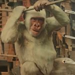 Jeremiah Meyer - @jeremiahmeyer61 - Instagram
