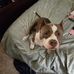 Jeremiah Page - Facebook