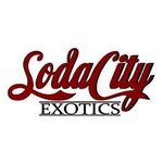 Jeremiah Page - @soda_city_exotics - Instagram