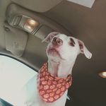 Jeremiah Sprague - @jeremiahsprague - Instagram