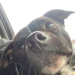 Jeremiah Starks - Facebook