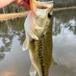 Jeremiah Stein - @jeremiahstein58 - Instagram