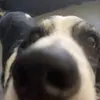 user7892338350197 - @jeremiah.loves.tanner - TikTok
