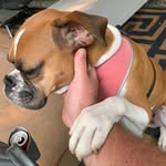 Jeremiah Weeks - @weeks_tire - Instagram