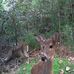 Jeremy Willard - Facebook
