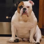 jeremie jones - @jeremie_jones75 - Instagram