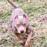 Jeremie Jones - @sir_jones_2nd_ - Instagram