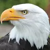 Jeremie Samuel - @jeremie.samuel8 - TikTok
