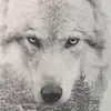 jeremiesam - @2ilv3rwx0lf - TikTok