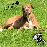 Jeremy Barger - @jeb1285 - Instagram