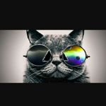 jeremy bass - @coolcats_1009 - Instagram