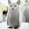 Jeremy Bertram - @jeremy.bertram - TikTok