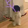 jeremybonesayala - @jeremybonesayala - TikTok