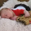 Jeremy Bourque - @jeremy.bourque - TikTok