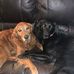 Jeremy Bourque - Facebook