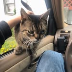 Jeremy C. Bump - @jkrazey987 - Instagram