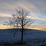 Jeremy Cavelier - @cavelierjeremy - Instagram