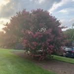 Jeremy Cheney - @jc20817 - Instagram