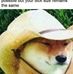 J.J. Cheney - Facebook