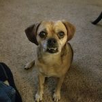 Jeremy Christopherson - @christophersonjeremy - Instagram