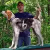 Jeremy Cushman - @jeremy.cushman8 - TikTok