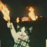 Jeremy Dorman - @jeremydorman816 - Instagram