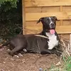 jeremyeberle - @jeremyeberle - TikTok