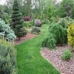 Jeremy Eder - @edernursery - Instagram