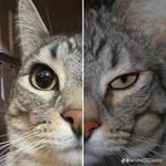 Jeremy Elbert - @jeremyelbert0408 - Instagram