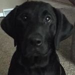 Jeremy Eldred - @jeldred419 - Instagram