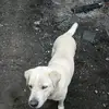 Jeremy Eplin - @jeremy.eplin - TikTok