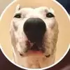 jeremyhacker386 - @jeremyhacker386 - TikTok