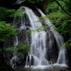 Jeremy Hatchins - @nature_global - TikTok