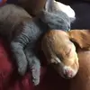 Jeremy Hazelton - @jeremy.hazelton - TikTok