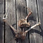 Jeremy Heiser - @jerheiser - Instagram