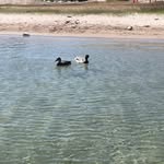 Jeremy Jacques - @the_j_attack - Instagram