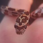 Jeremy Keyes - @keyes3086 - Instagram
