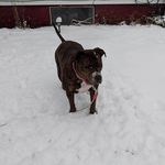 Jeremy keyes - @jkeyes044 - Instagram