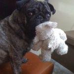 Jeremy Kish - @jeremymkish - Instagram