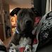 Jeremy Laughlin - Facebook