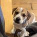 Jeremy Ledoux - Facebook
